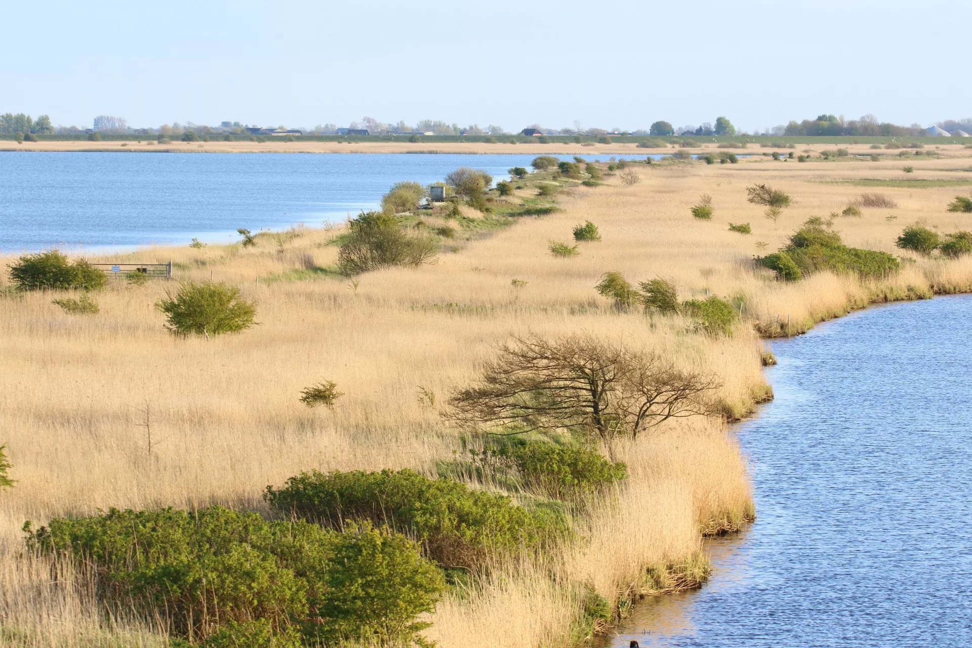 Beltringharder Koogs Luettmoorsiel